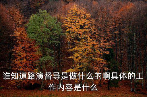 上證路演中心干什么的，誰知道路演督導(dǎo)是做什么的啊具體的工作內(nèi)容是什么
