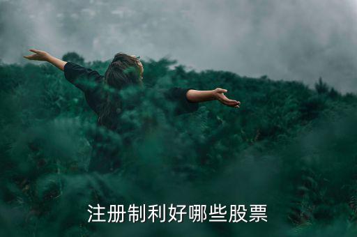 什么股票注冊制，IPO注冊制是什么意思