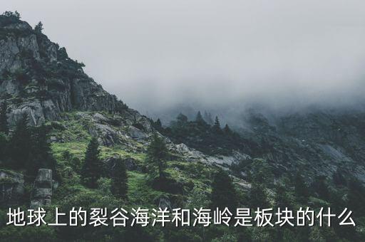 誠益通屬于什么板塊，地球上的裂谷海洋和海嶺是板塊的什么