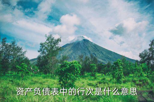 資產(chǎn)負債表中行次是什么意思，資產(chǎn)負債表中的行次指的是什么