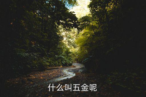 什么叫一市五金多套餐，知不知道招聘里說的 五金齊全是指什么