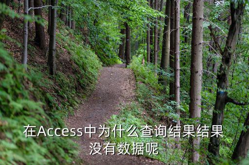 832494為什么沒有數(shù)據(jù)，在Access中為什么查詢結(jié)果結(jié)果沒有數(shù)據(jù)呢