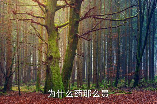 為什么藥價那么貴，醫(yī)藥費(fèi)為什么那么貴