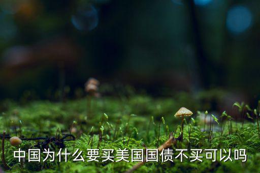 中國(guó)為什么一定要買(mǎi)美國(guó)國(guó)債，中國(guó)為什么要把那么多的黃金存放到美國(guó)