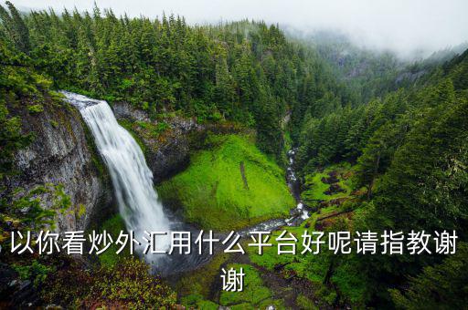 炒美元什么平臺(tái)，以你看炒外匯用什么平臺(tái)好呢請(qǐng)指教謝謝