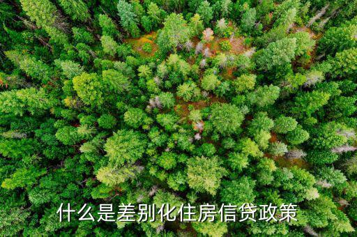 什么是差別化住房信貸政策，什么叫差別化住房信貸政策