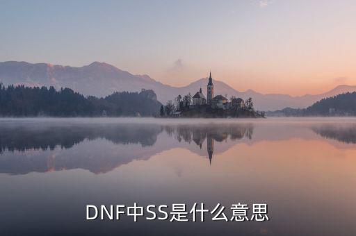 ngbss是什么，DNF武器cc和ss是指什么請詳細解釋
