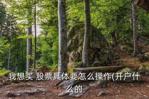 我想買(mǎi) 股票具體要怎么操作(開(kāi)戶(hù)什么的
