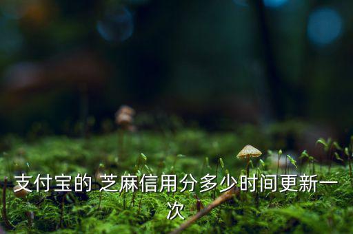 芝麻信用分什么時候更新，支付寶的 芝麻信用分多少時間更新一次