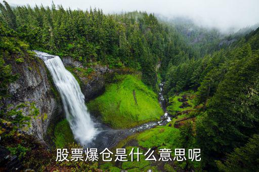 股票爆倉是什么意思，股市中的爆倉是什么意思