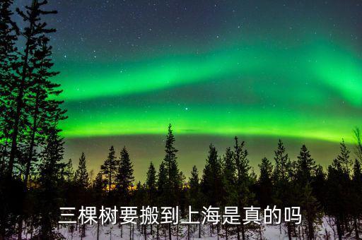 三棵樹什么時間上市，三棵樹要搬到上海是真的嗎
