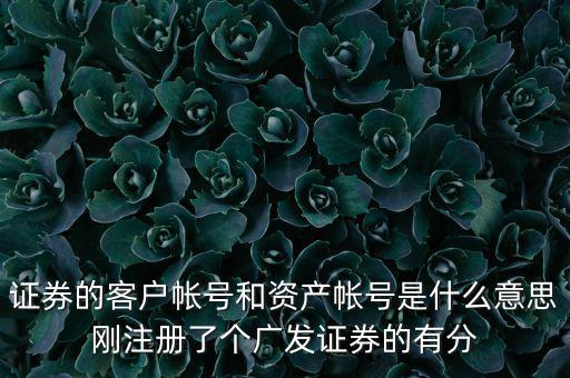 申萬宏源資產(chǎn)賬號是什么，我知道瀘A股東的賬號怎么查資金賬號申萬宏源