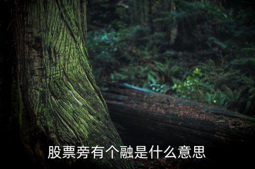 融買融賣是什么意思，股票旁有個融是什么意思