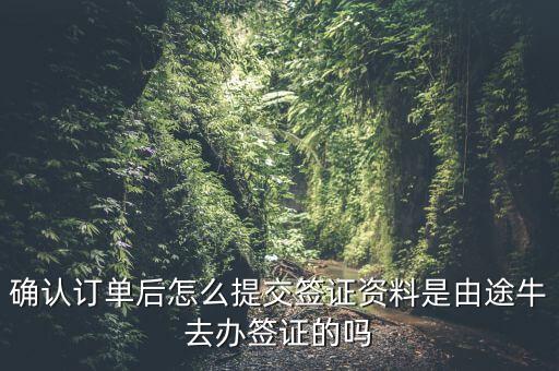 為什么途牛金服資料提交不了，申請途牛額度的資料怎么填寫我填的都是真的也很全啊但是一提