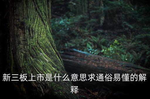 什么是新三板上市，新三板上市是什么意思求通俗易懂的解釋