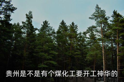 深圳尚榮在貴州有什么項(xiàng)目，深圳市尚榮醫(yī)療股份有限公司的介紹