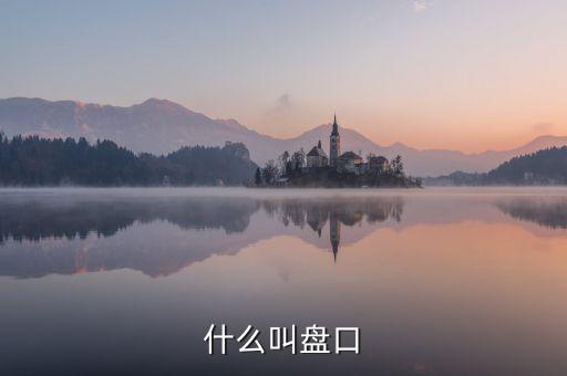 大盤口什么意思，大盤中的盤口是什么意思啊