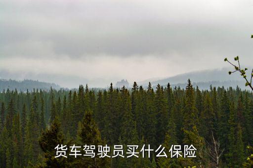 貨車司機(jī)買(mǎi)什么保險(xiǎn)好，大貨車買(mǎi)什么保險(xiǎn)最好