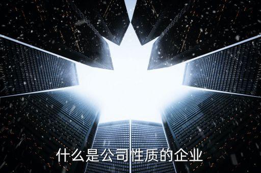 中期集團是什么性質(zhì)的企業(yè)，集團是什么性質(zhì)的公司