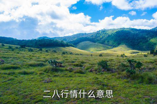 什么是288指數，股票二八現(xiàn)象是什么意思