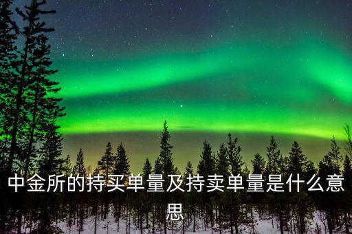 持買單量是什么意思，持賣單什么意思