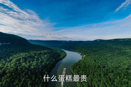什么牌子的生日蛋糕最貴，生日蛋糕都有哪些品牌稍微高端一些的價(jià)錢(qián)和品牌