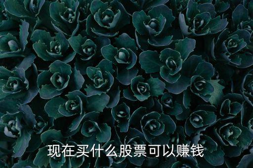 今年買什么股票可以賺錢，現(xiàn)在買什么股票可以賺錢