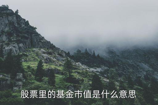 基金市值什么意思，股票里的基金市值是什么意思