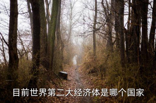 中國什么時候成為第二大經(jīng)濟體，中國成為世界第二大經(jīng)濟體是什么時候