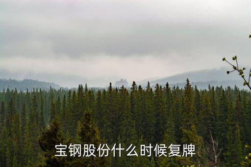 寶鋼什么時(shí)候復(fù)牌，武鋼和寶鋼什么時(shí)候完成重組
