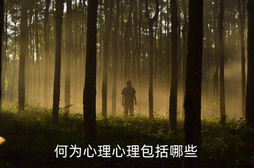 什么是心理層面，人的心理境界分幾個層次