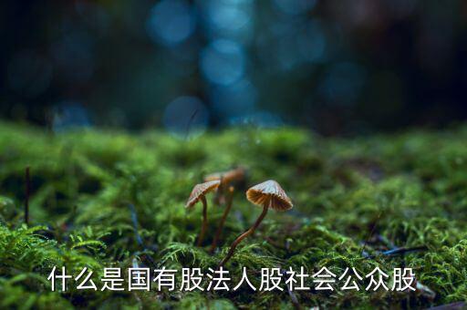 什么情況叫公眾持股，股份制上市企業(yè)誰能幫我解釋一下它是公企還是私企