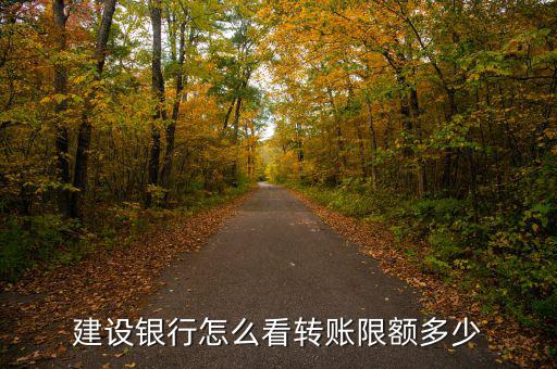 建設銀行怎么看轉賬限額多少