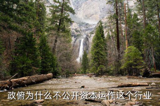 資本運(yùn)作為什么不公開(kāi)，政俯為什么不公開(kāi)資本運(yùn)作這個(gè)行業(yè)