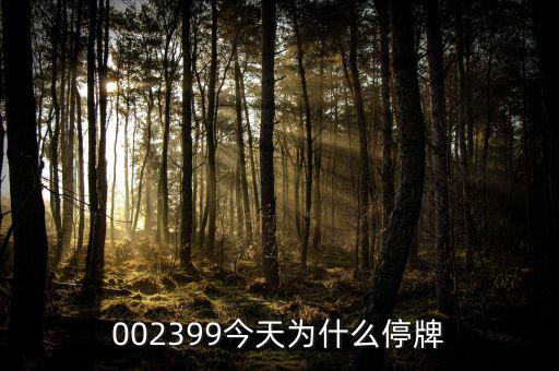 大連友誼為什么停牌，002399今天為什么停牌