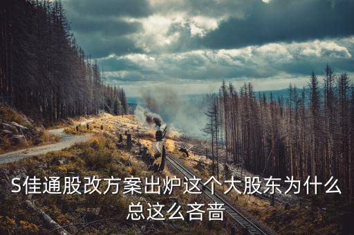 s佳通為什么不股改，s佳通的流通股這么少為什么不股改全流通