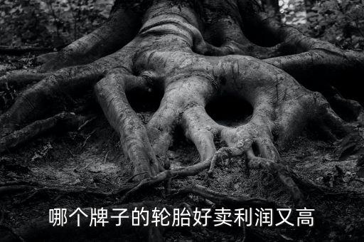 什么輪胎利潤大，哪個牌子的輪胎好賣利潤又高