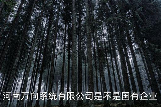 萬向集團是什么企業(yè)，萬向集團公司是哪一家公司設計的