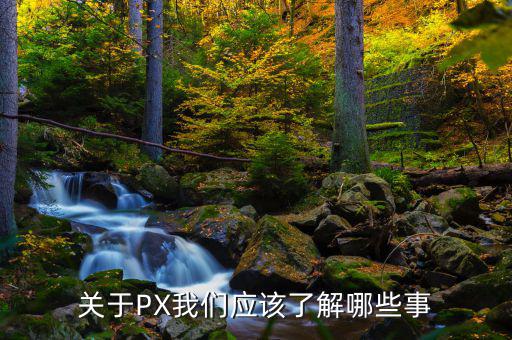 px項目是干什么的，關(guān)于PX我們應(yīng)該了解哪些事