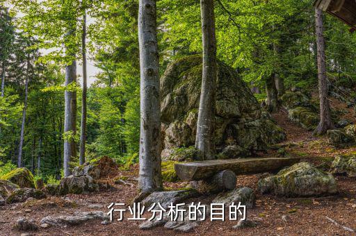 為什么要進(jìn)行行業(yè)分析，為什么要進(jìn)行市場分析