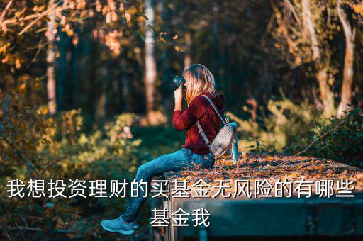 買什么基金是沒有風(fēng)險(xiǎn)，什么樣的基金沒有太大的風(fēng)險(xiǎn)