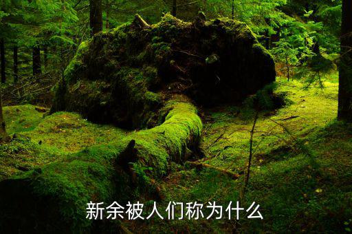 新余的簡稱是什么，新余屬于哪個省的管轄哪些地方