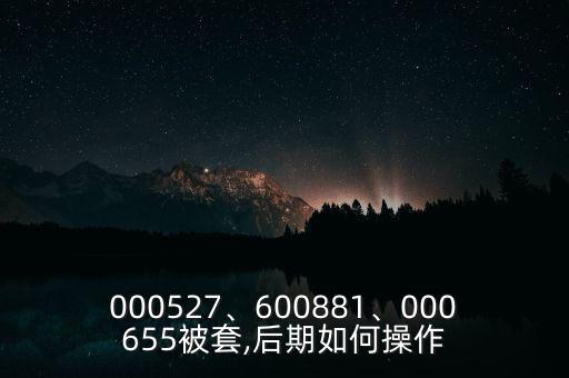 000527、600881、000655被套,后期如何操作