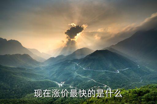 什么漲價快，大家猜猜看 什么東西會漲價的很快