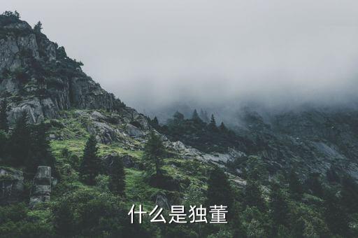 什么是官員獨(dú)董，懂事和獨(dú)立董事有什么區(qū)別都起有什么作用