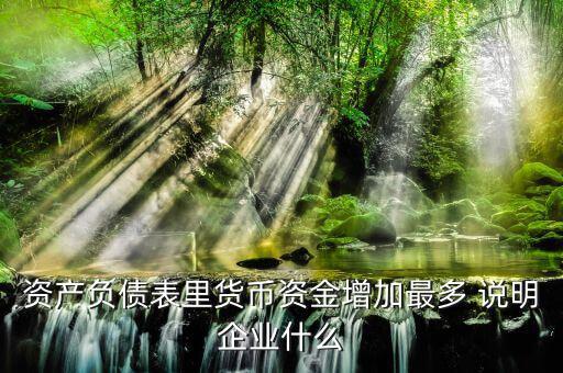 貨幣資金增加說明什么，資產(chǎn)負(fù)債表里貨幣資金增加最多 說明企業(yè)什么
