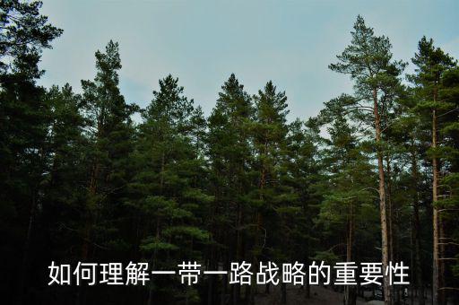 中國為什么要搞一帶一路，當代國際社會的知識分析我國為什么要提出一帶一路的倡