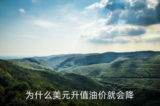 美國油價(jià)為什么跌，美國原油價(jià)格為什么會從100多美元跌到43美元并且分析以后的趨勢