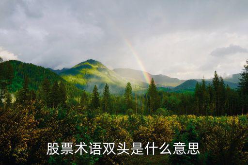 什么是大盤做雙頭，股票術語雙頭是什么意思