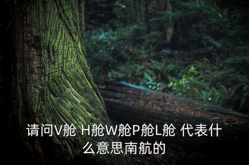 請(qǐng)問V艙 H艙W艙P(yáng)艙L艙 代表什么意思南航的